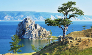 ✅История экодвижения